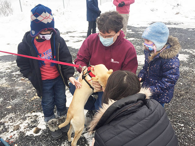 family-greets-new-dog-640×480